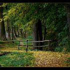 Herbstimpressionen 2008