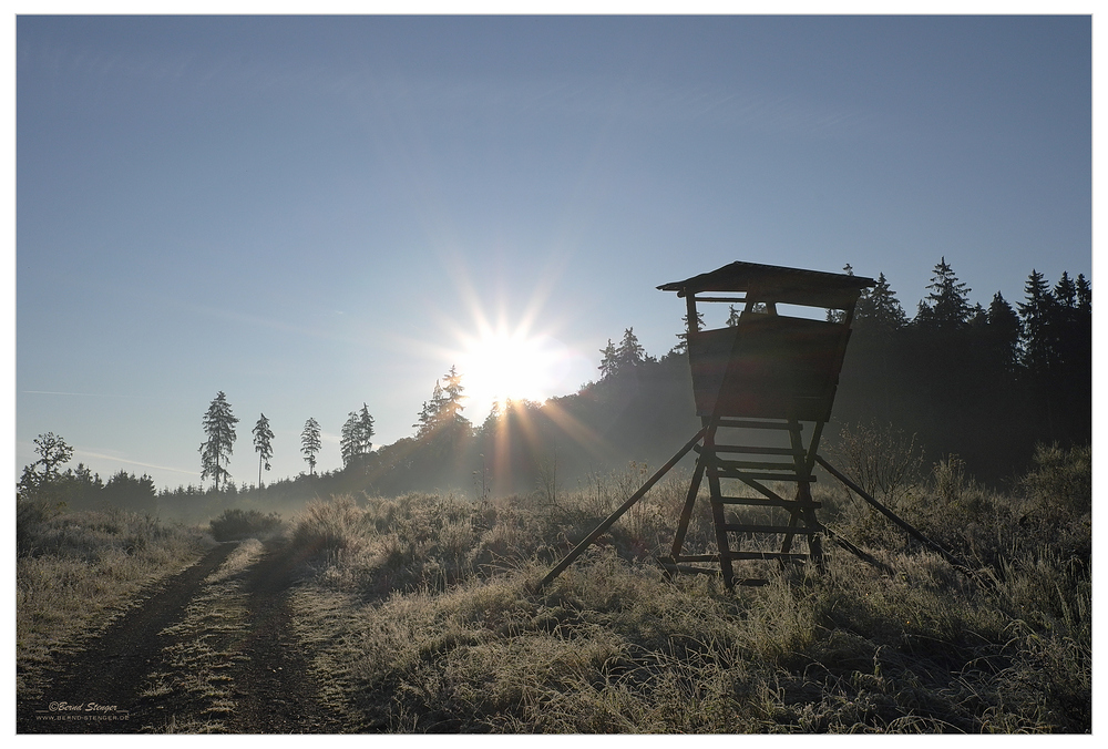 Herbstimpressionen 2011-1