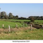 Herbstimpressionen 2014