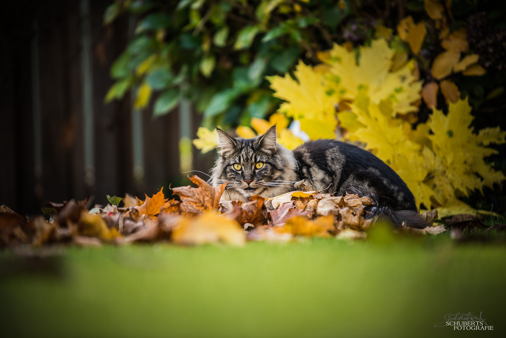 Herbstimpressionen