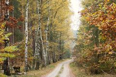 Herbstimpressionen