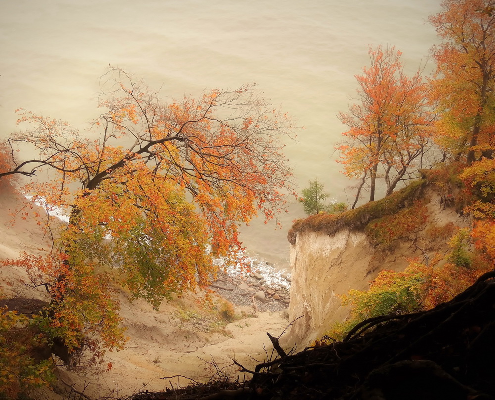 Herbstimpressionen