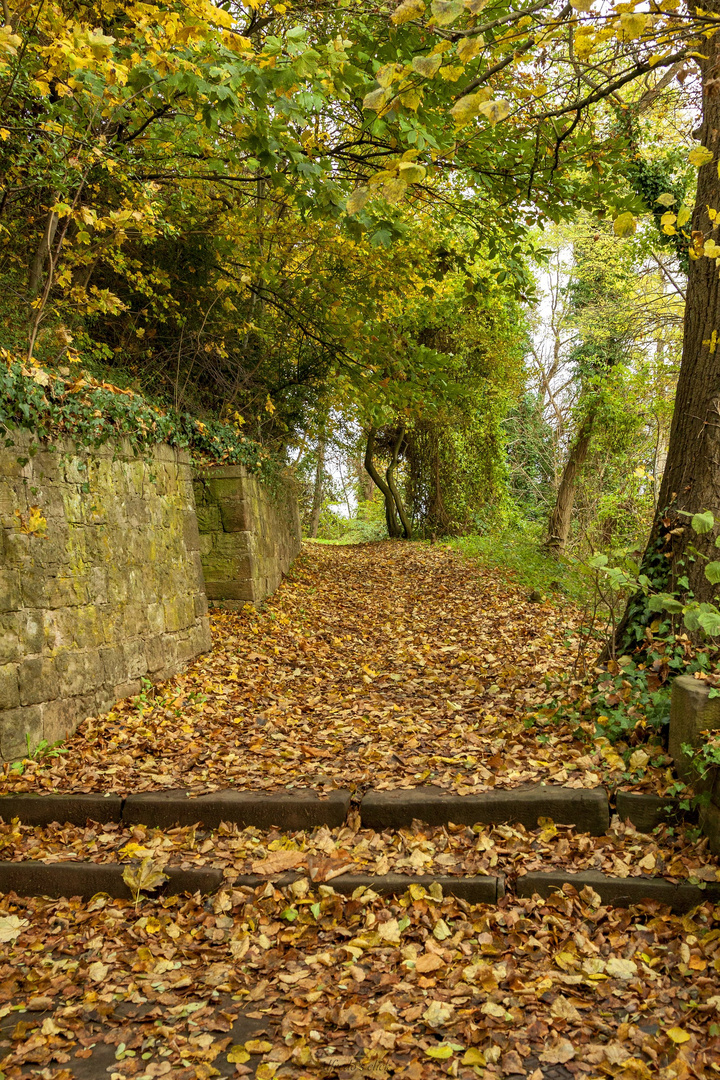 Herbstimpressionen