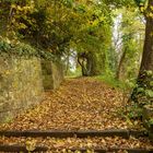 Herbstimpressionen