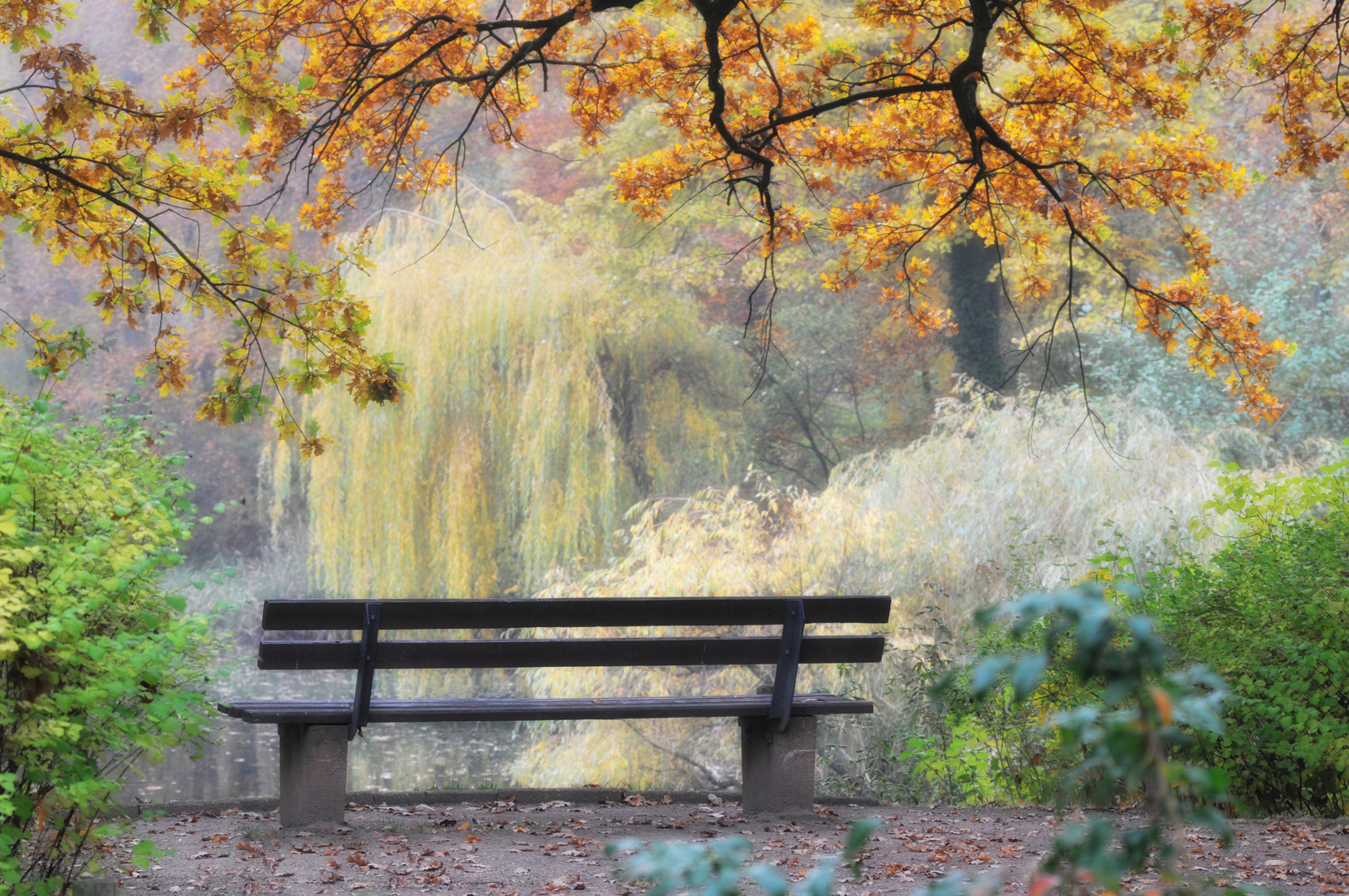 Herbstimpressionen