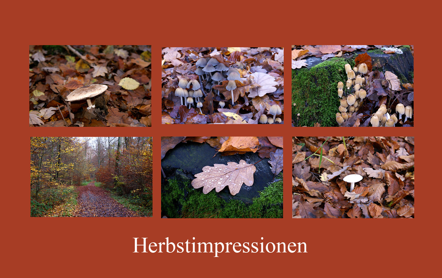 Herbstimpressionen