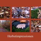 Herbstimpressionen