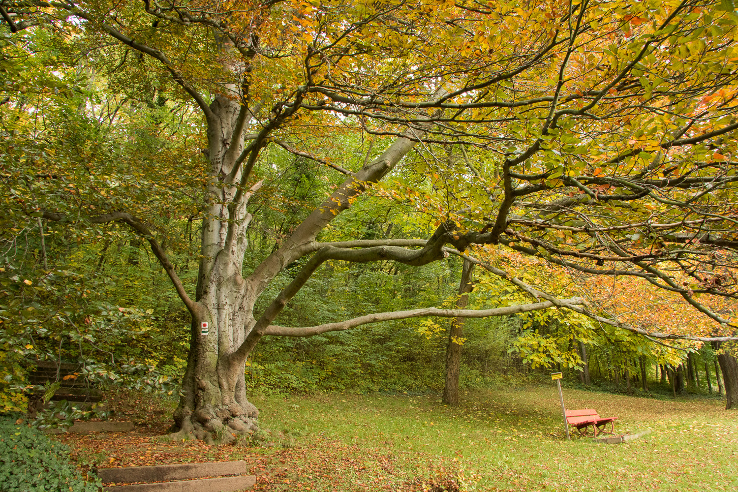 Herbstimpressionen