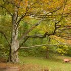 Herbstimpressionen