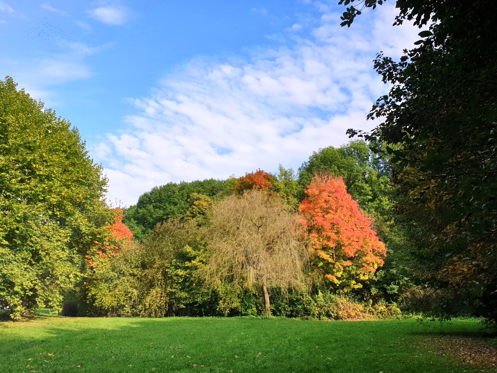 Herbstimpressionen