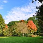 Herbstimpressionen