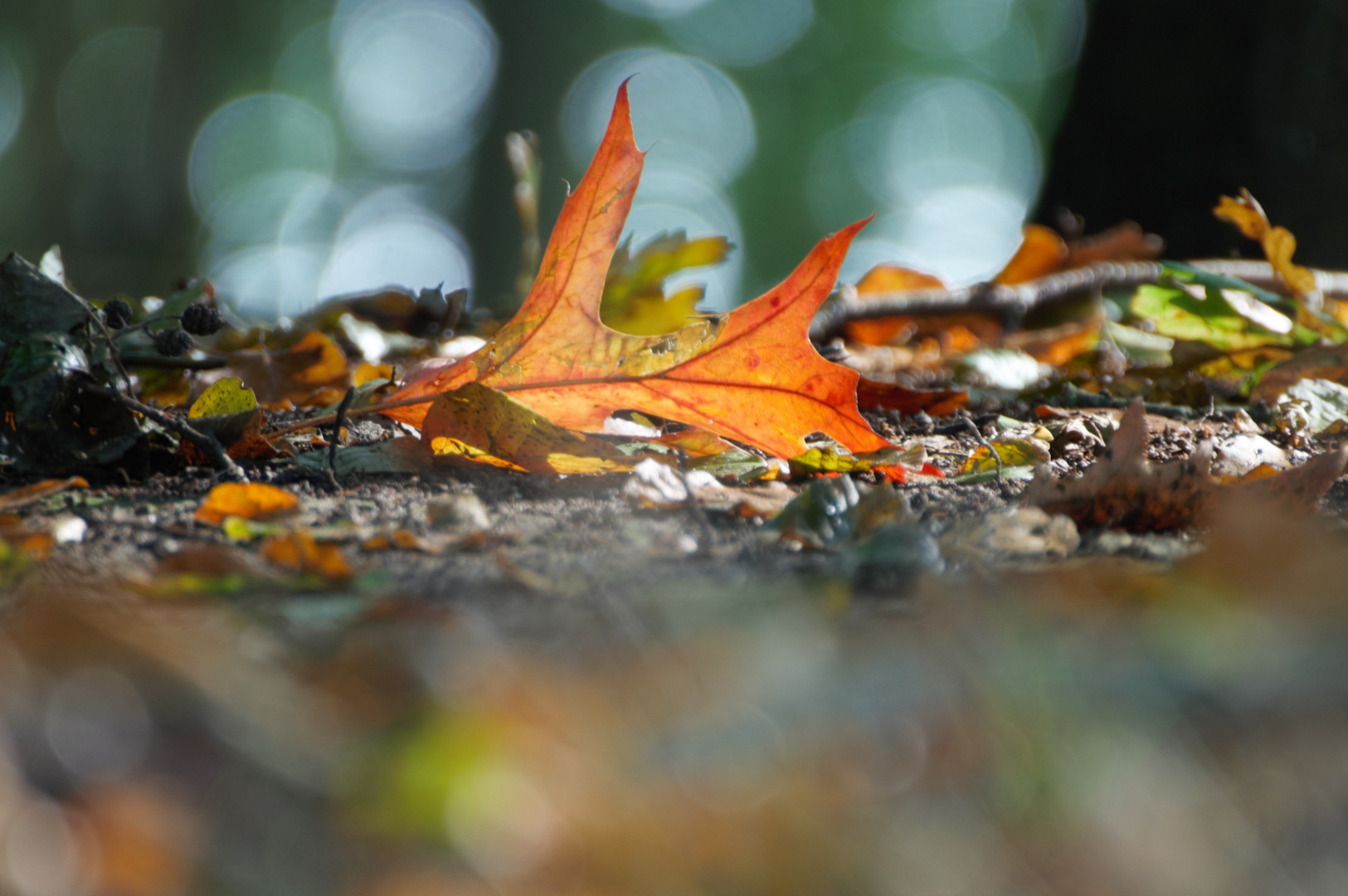 Herbstimpressionen