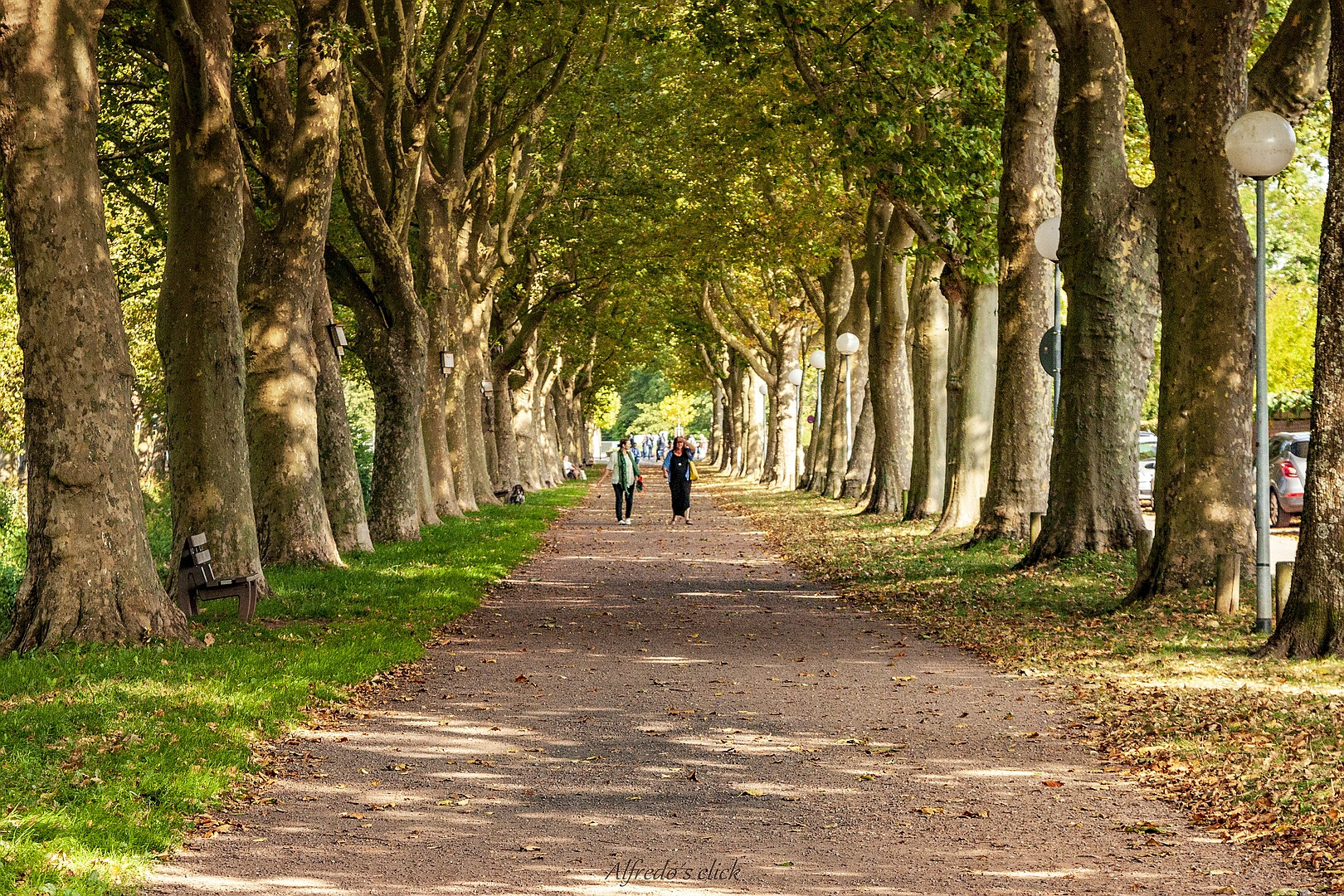 Herbstimpressionen