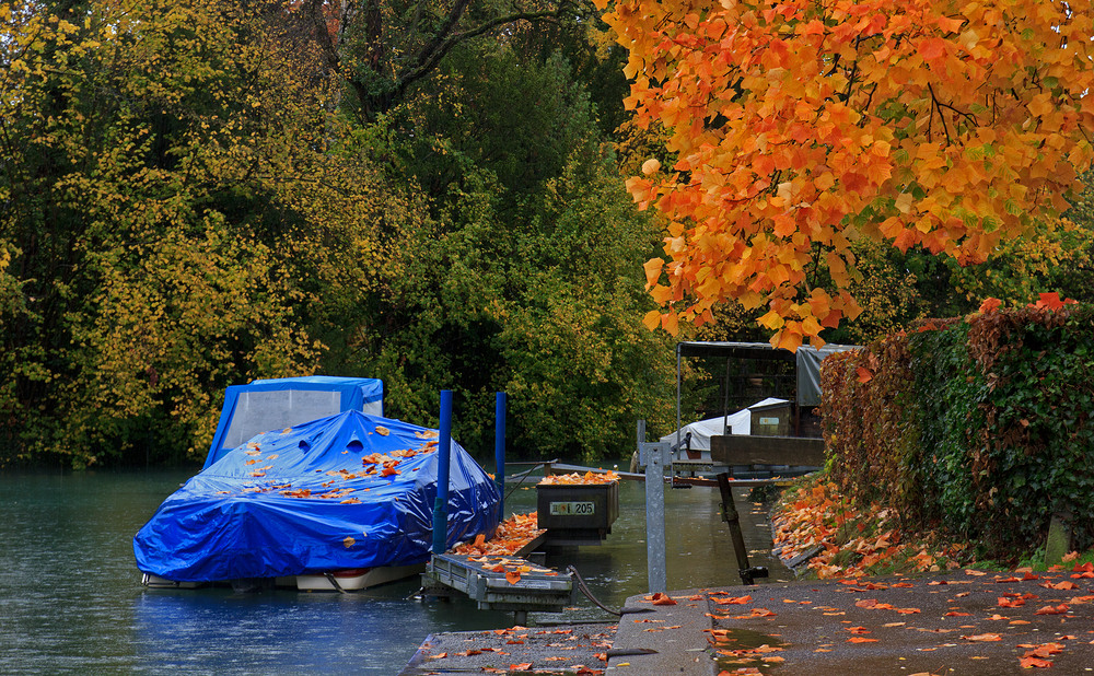 Herbstimpressionen