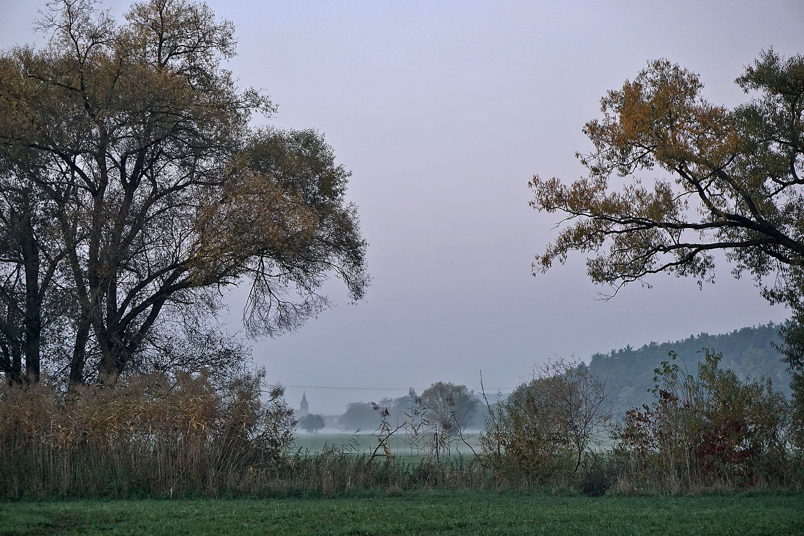 Herbstimpressionen (3)