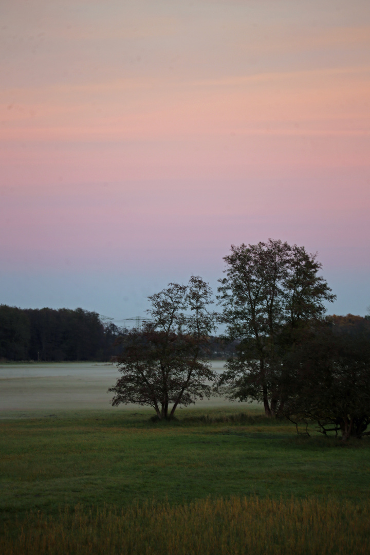 Herbstimpressionen -3-