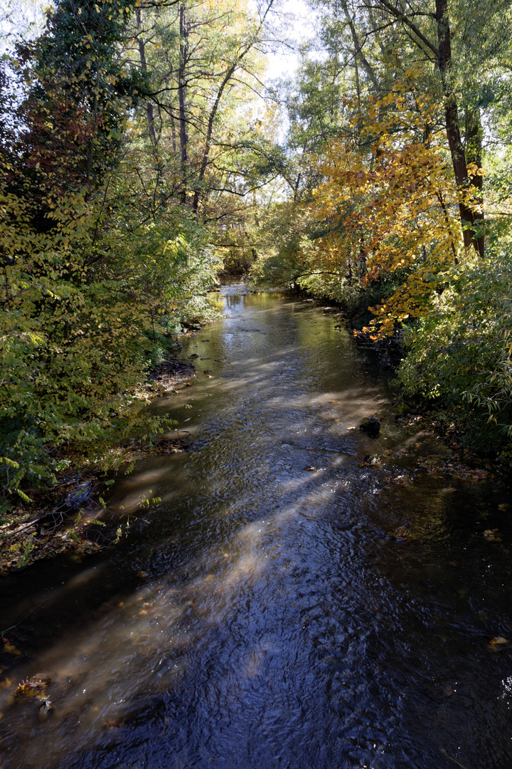 Herbstimpressionen 3