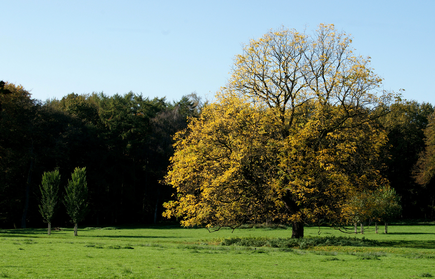 Herbstimpressionen 3