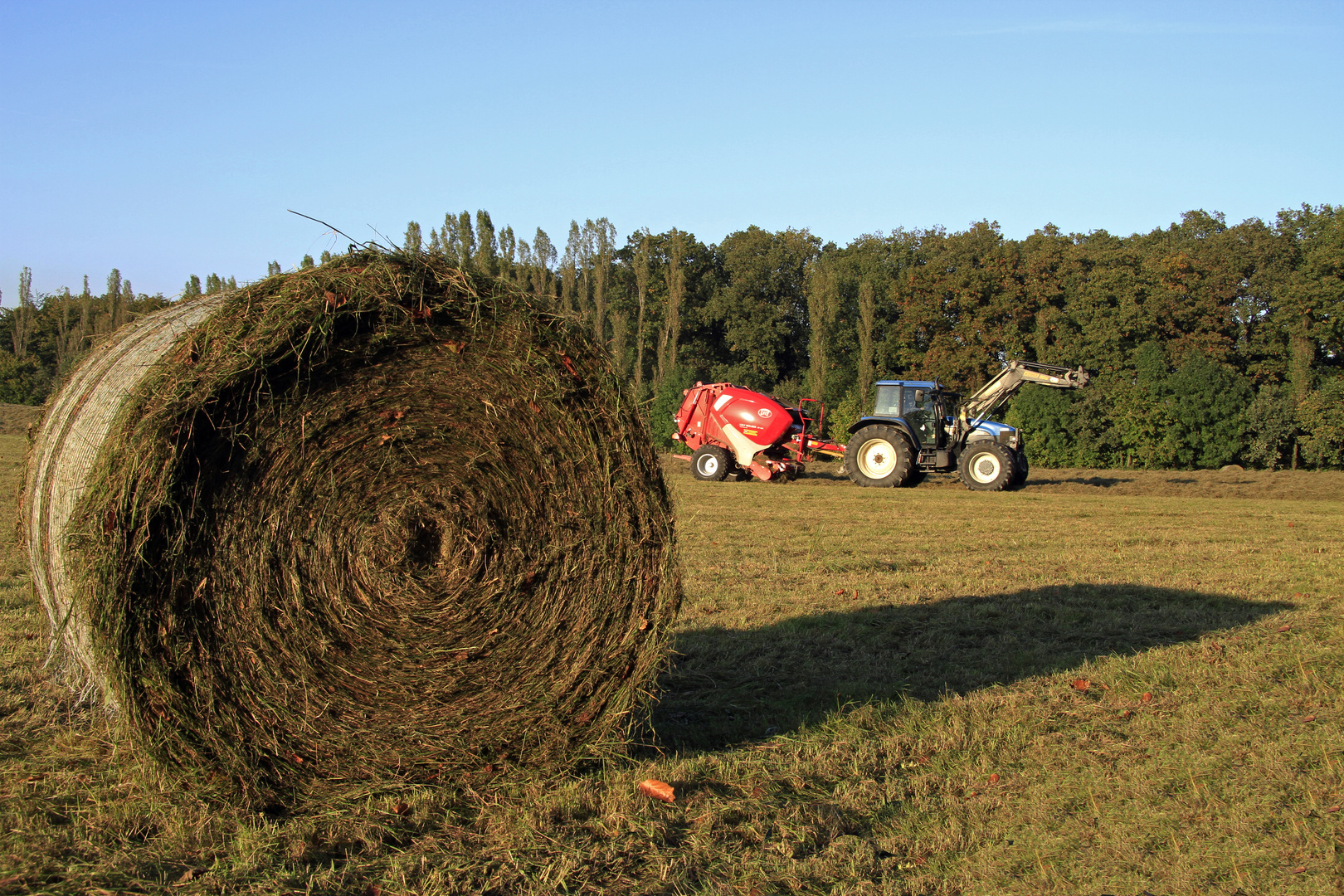 Herbstimpressionen [3]