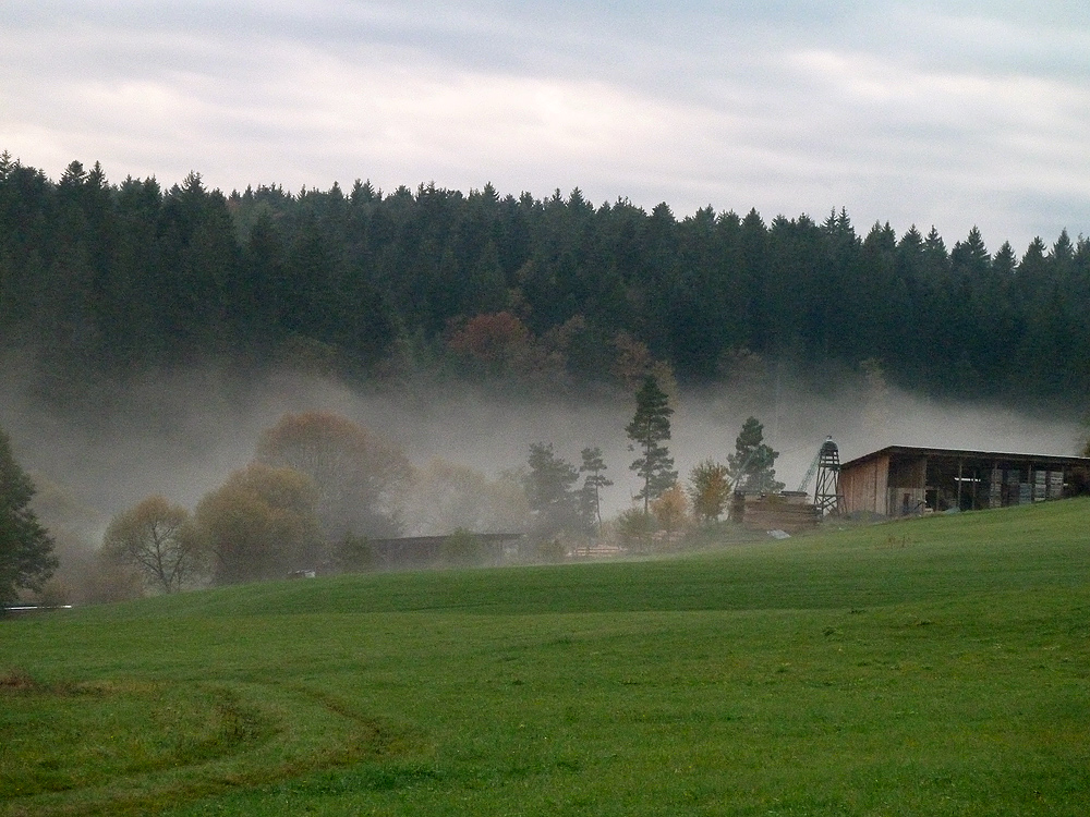 Herbstimpressionen 3