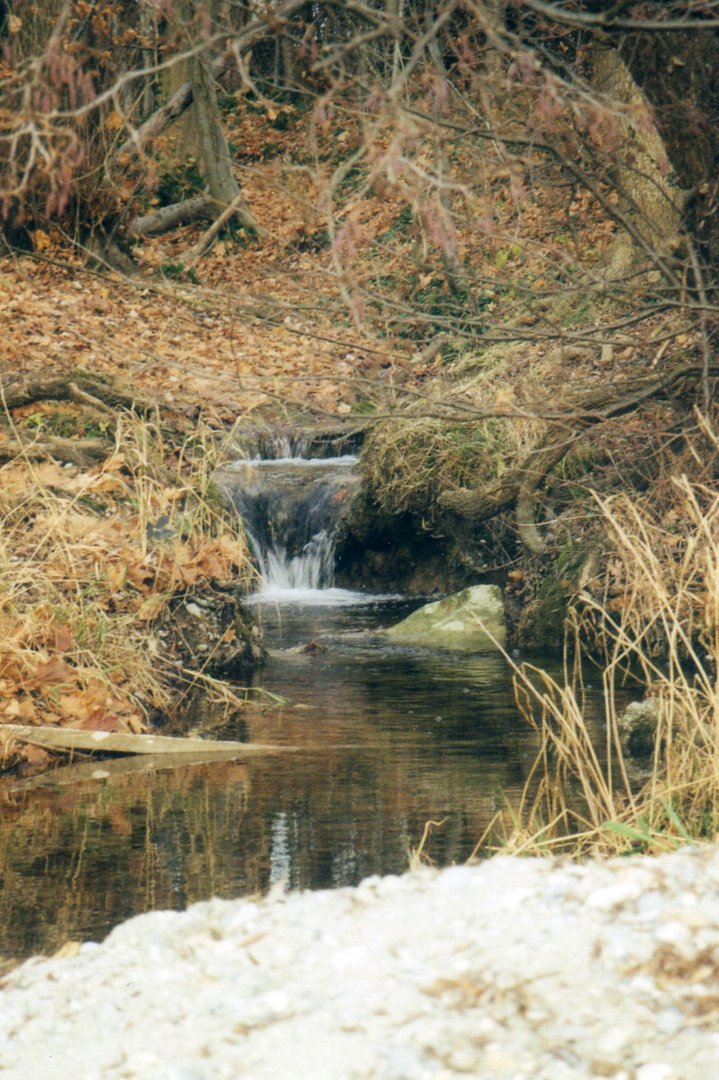 Herbstimpressionen