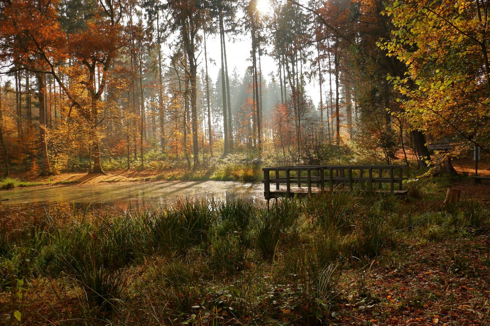 Herbstimpressionen