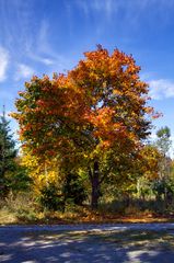 Herbstimpressionen