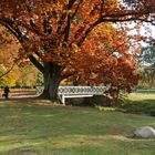 Herbstimpressionen,