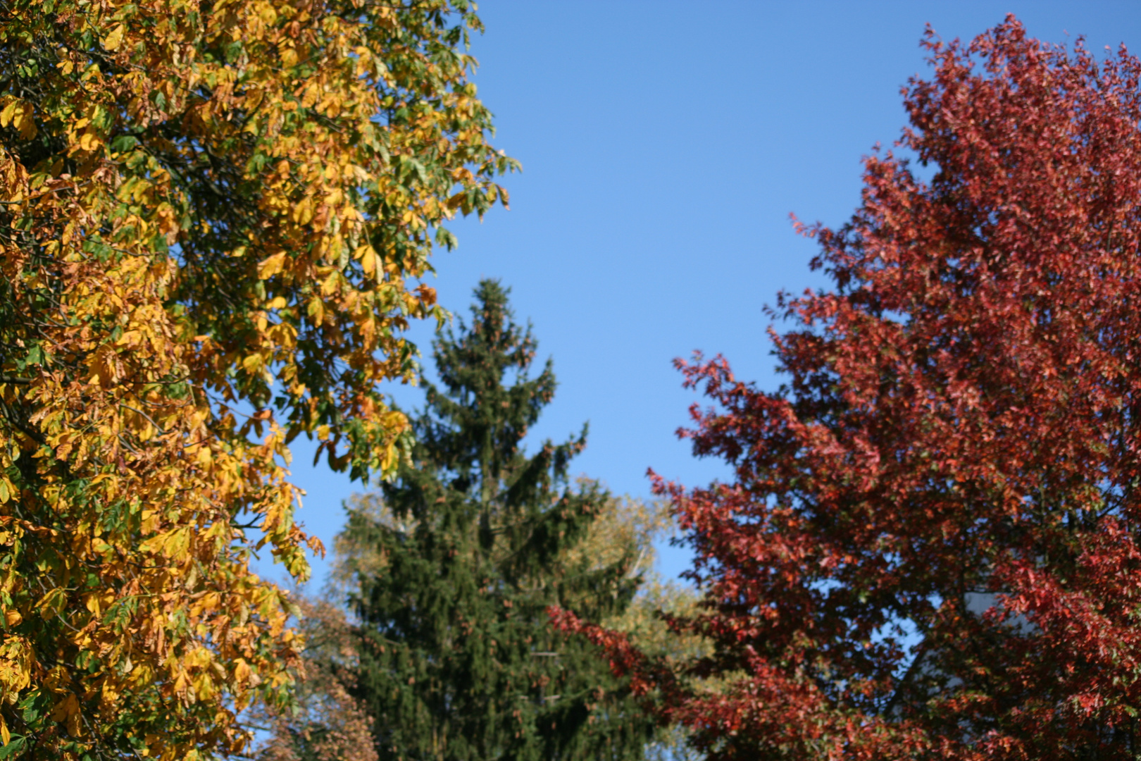 Herbstimpressionen