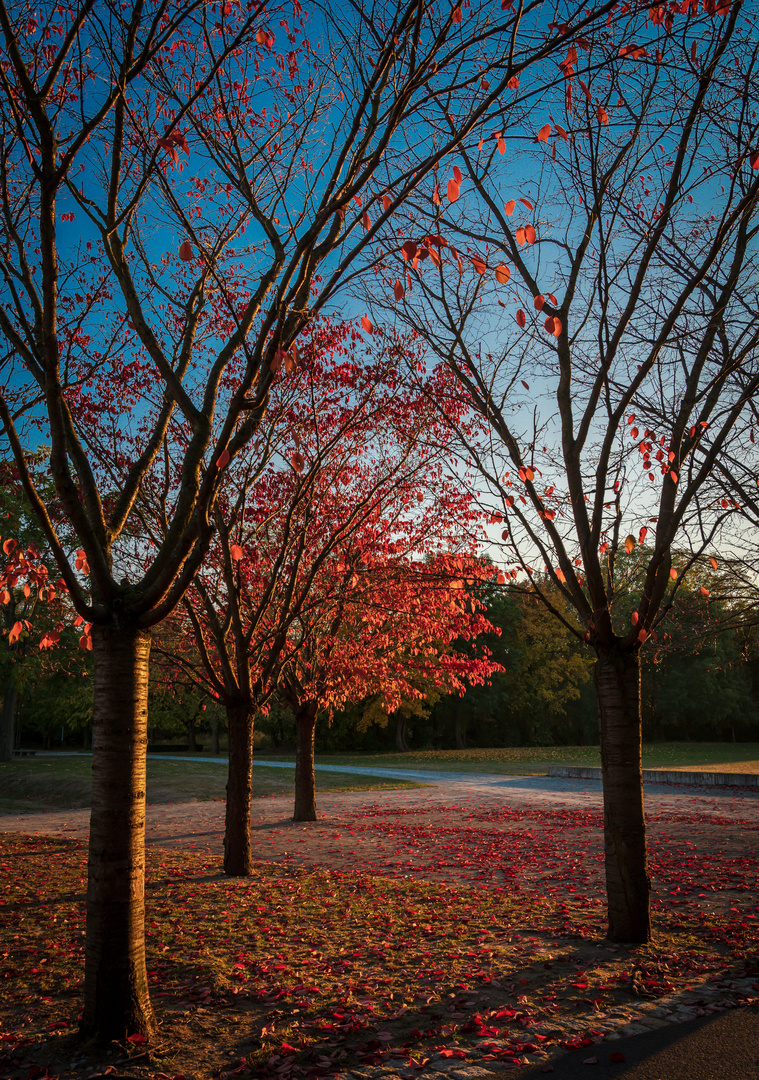 Herbstimpressionen