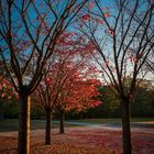 Herbstimpressionen