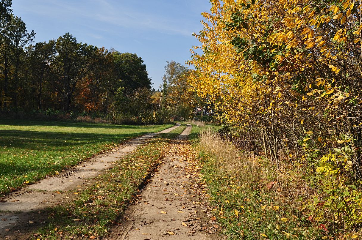 Herbstimpressionen