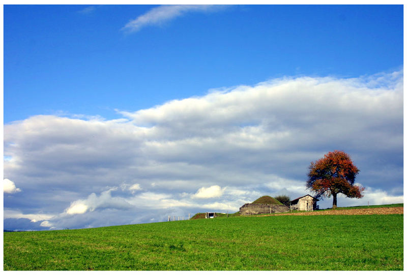 Herbstimpressionen