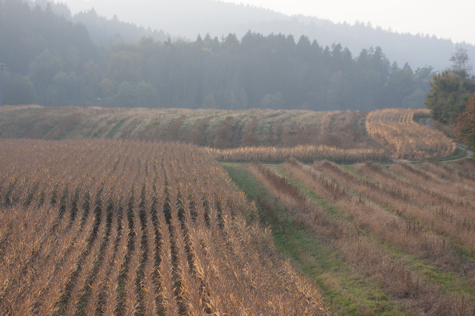 Herbstimpressionen 4