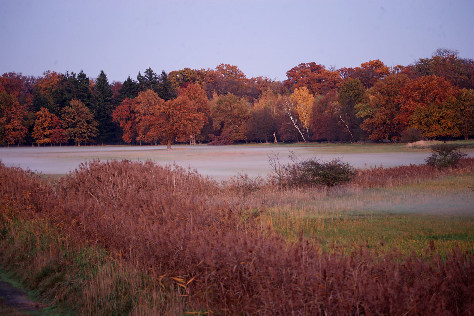 Herbstimpressionen -4-