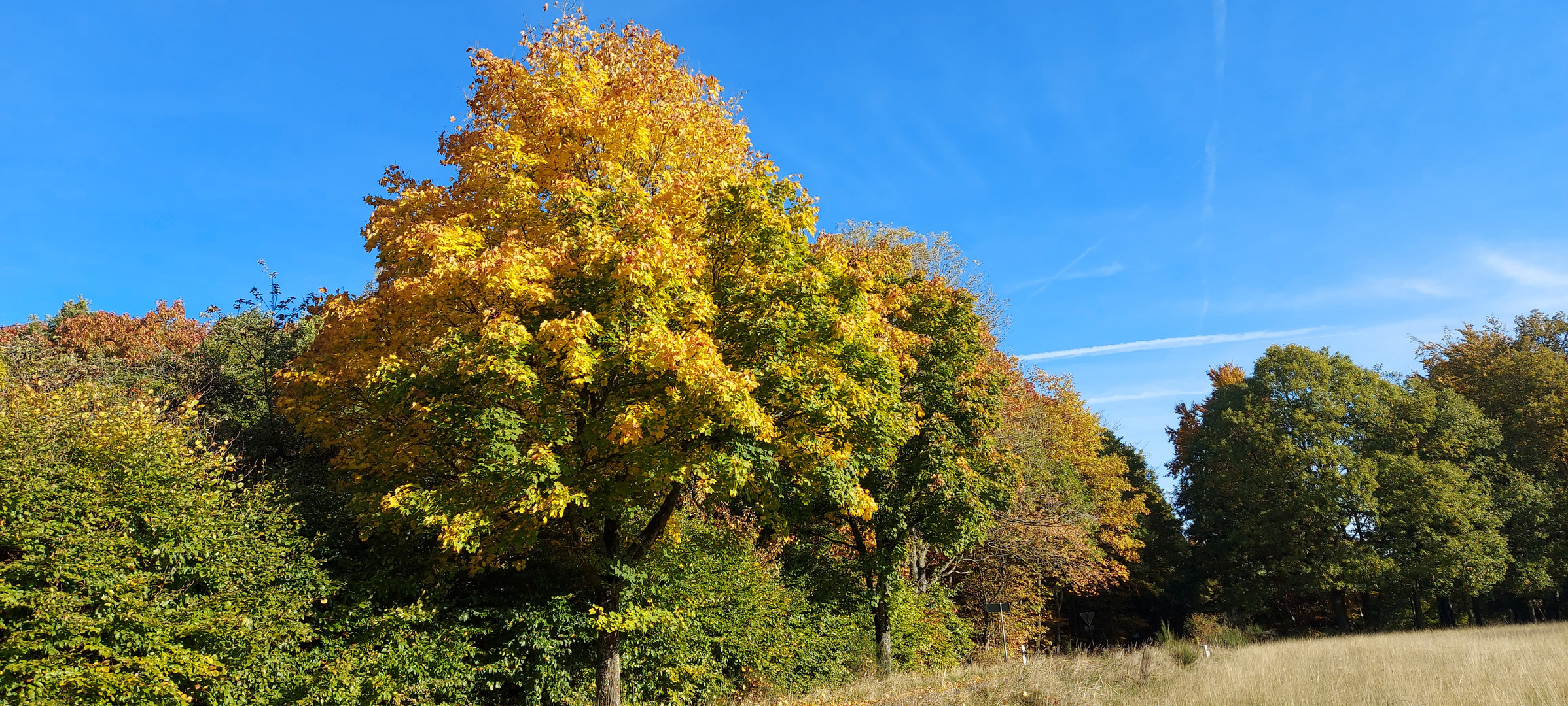 Herbstimpressionen 4