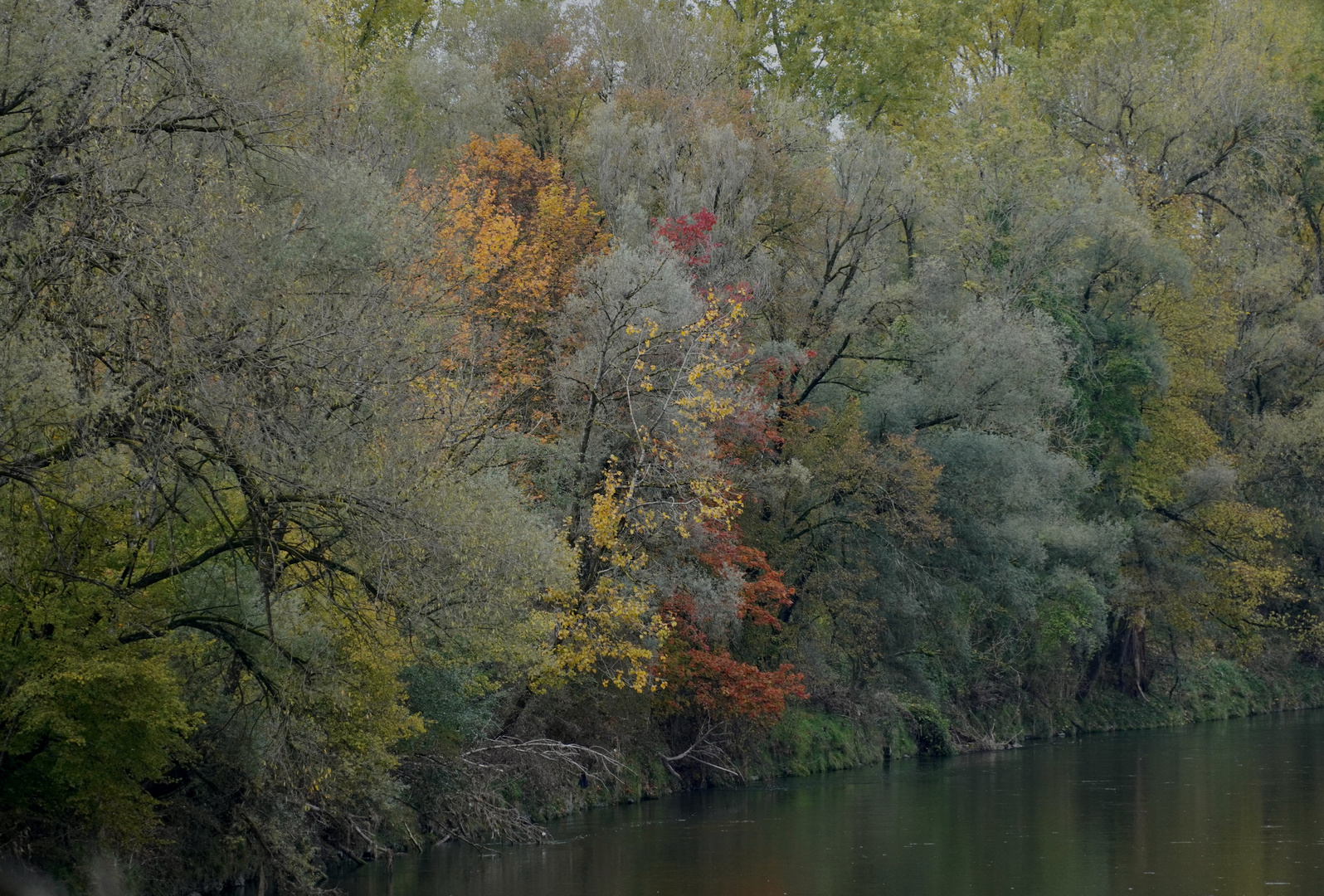 Herbstimpressionen (4)