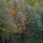 Herbstimpressionen (4)