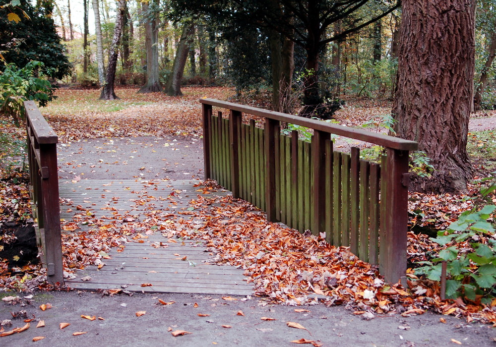 Herbstimpressionen