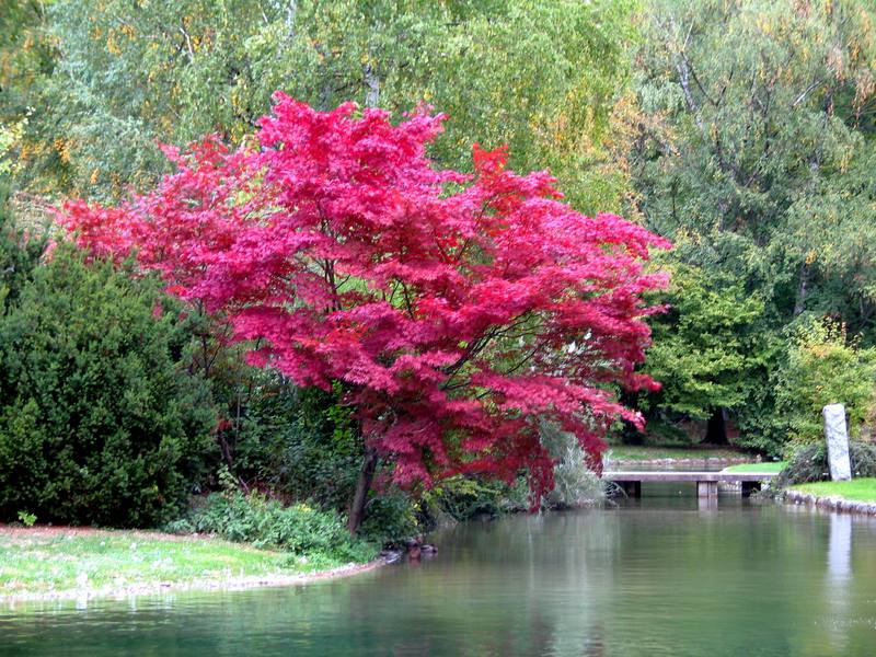 Herbstimpressionen