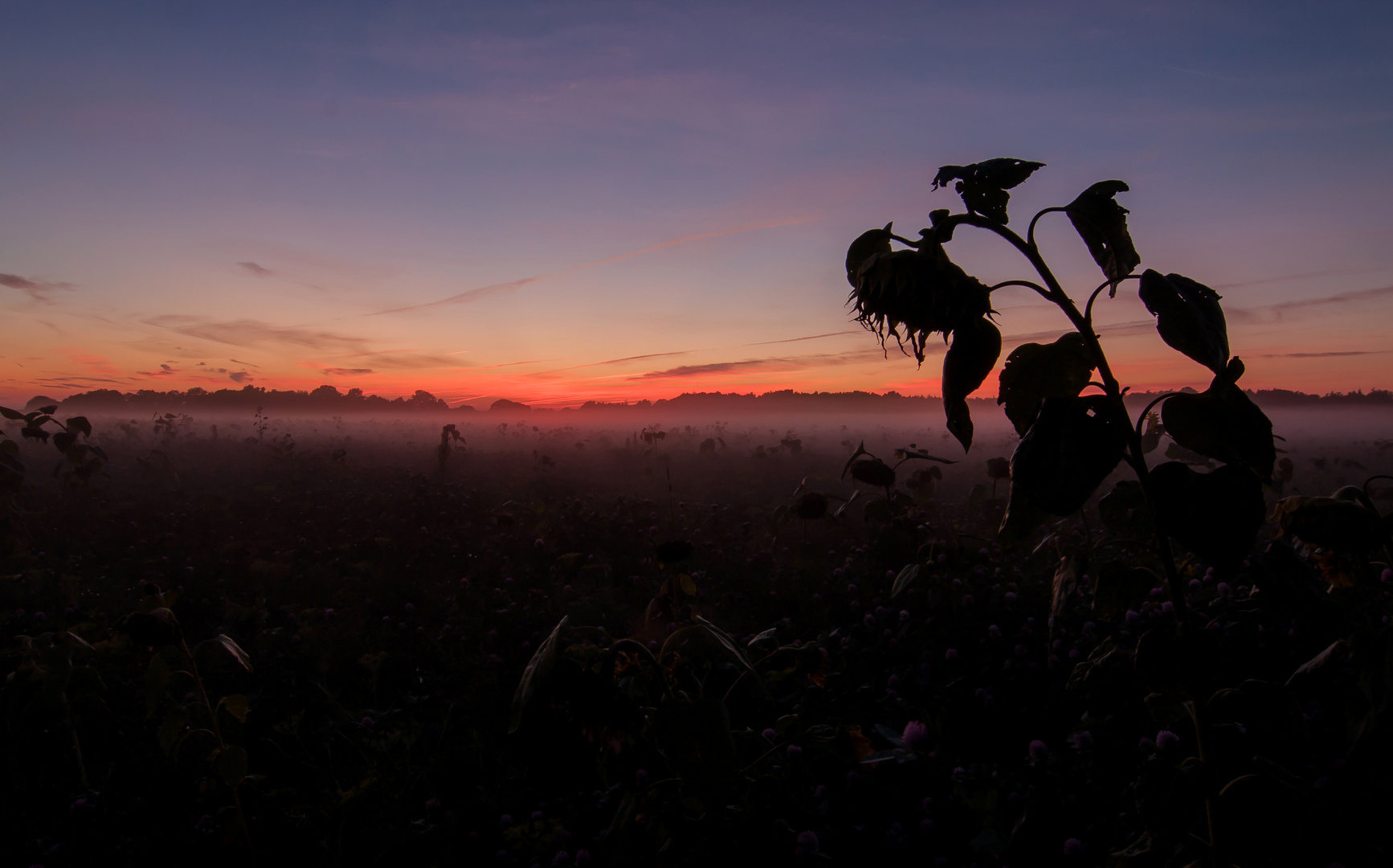 Herbstimpressionen