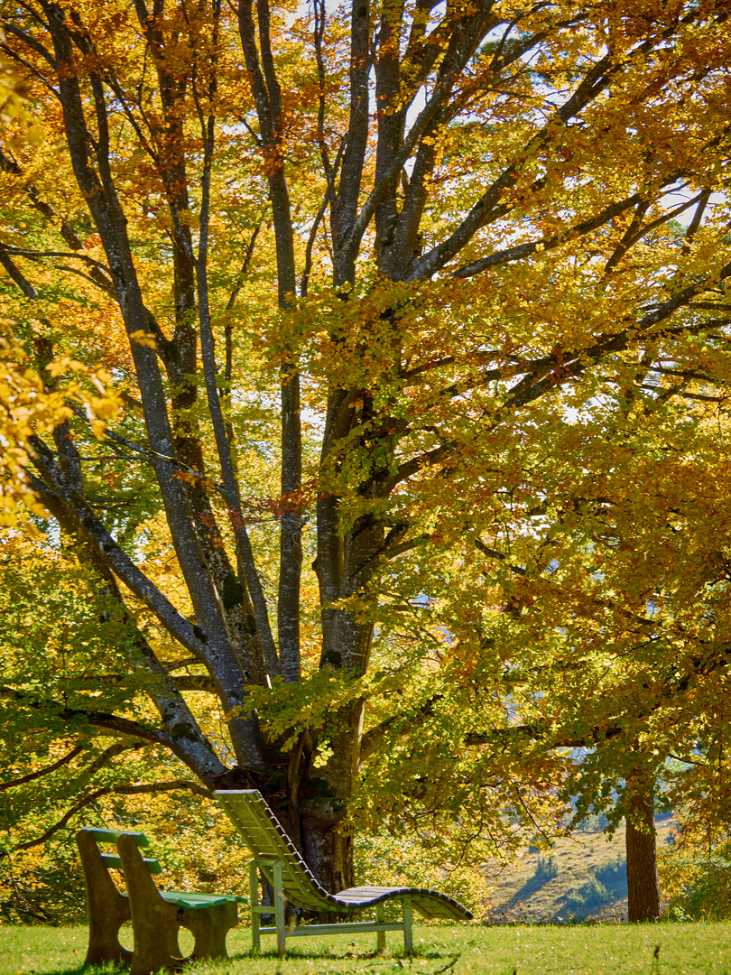 Herbstimpressionen