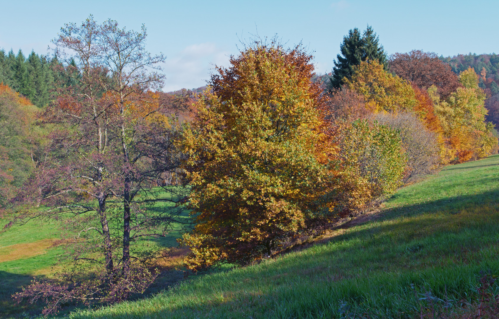 Herbstimpressionen