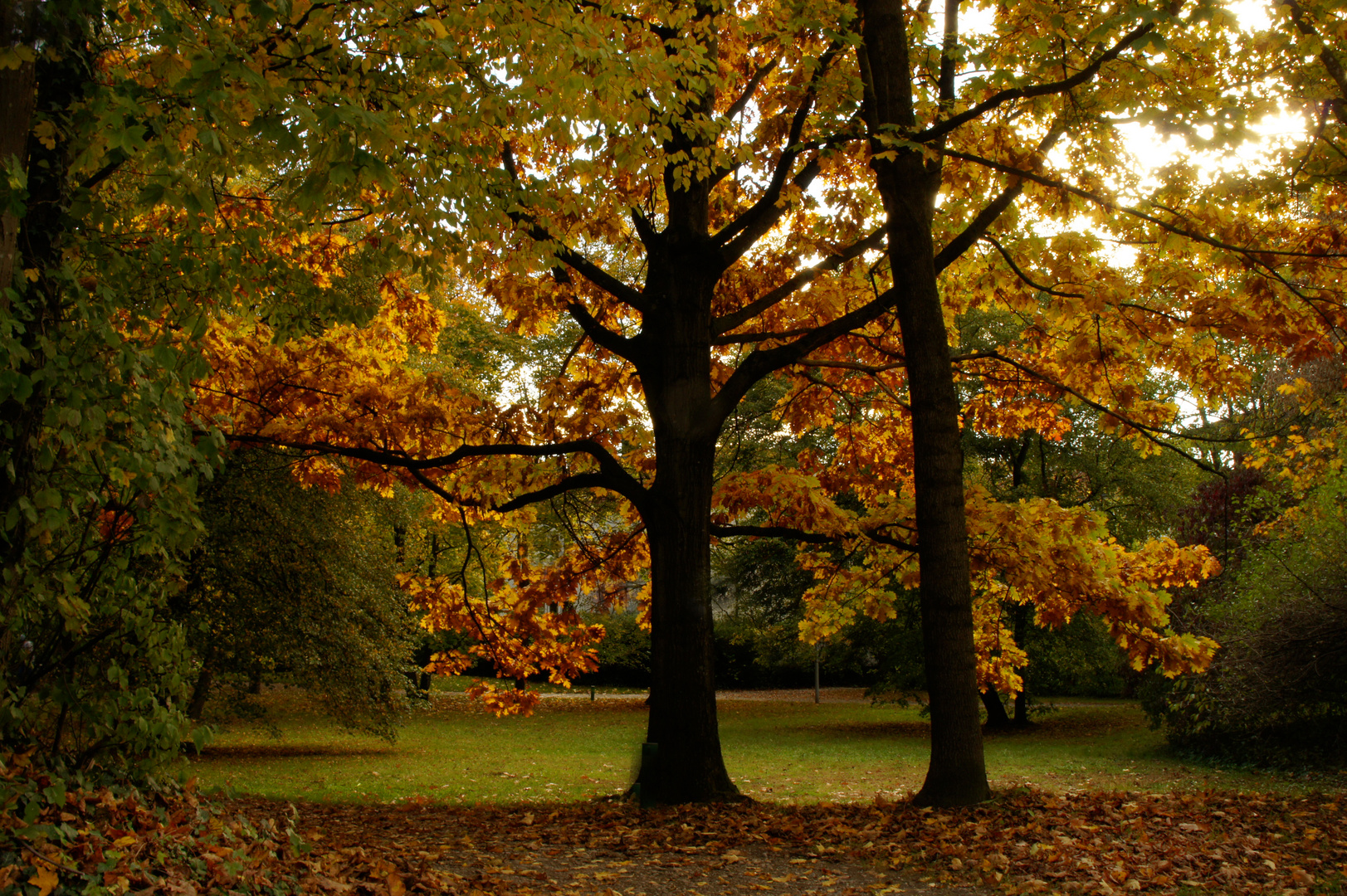 Herbstimpressionen