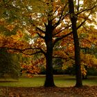 Herbstimpressionen