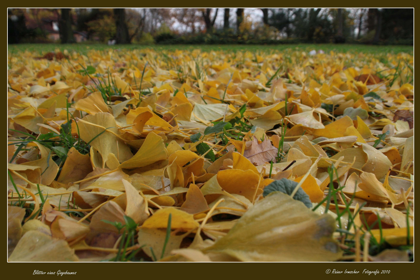 Herbstimpressionen..