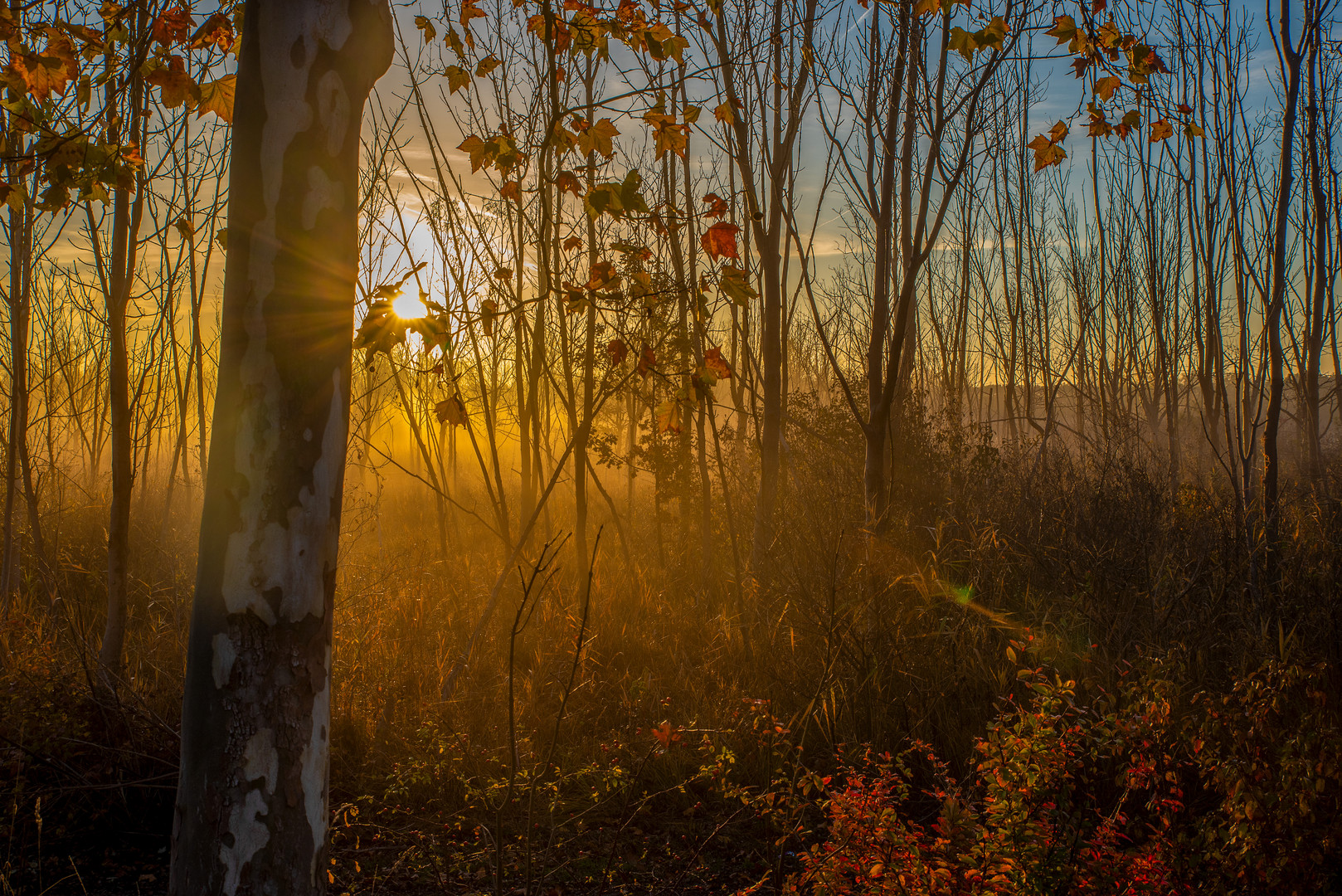 Herbstimpressionen