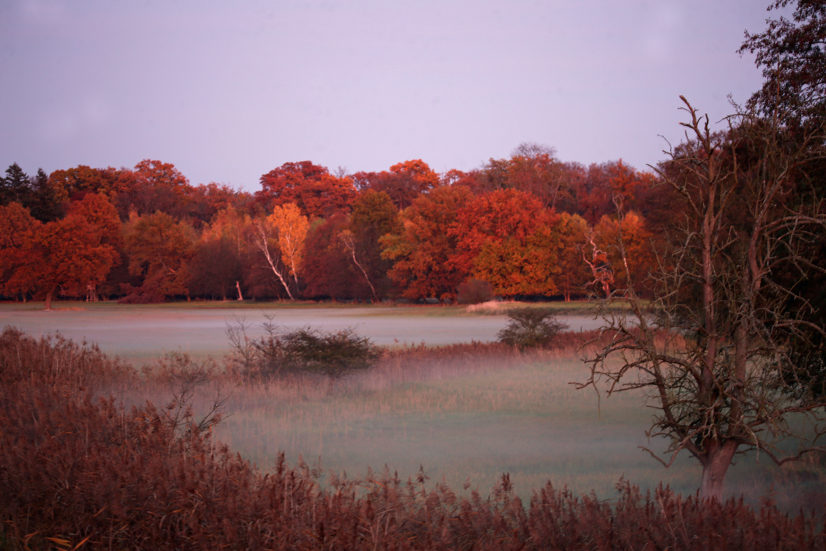 Herbstimpressionen -5-