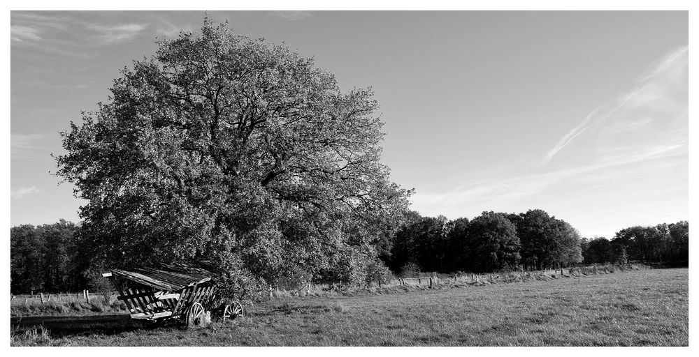 Herbstimpressionen