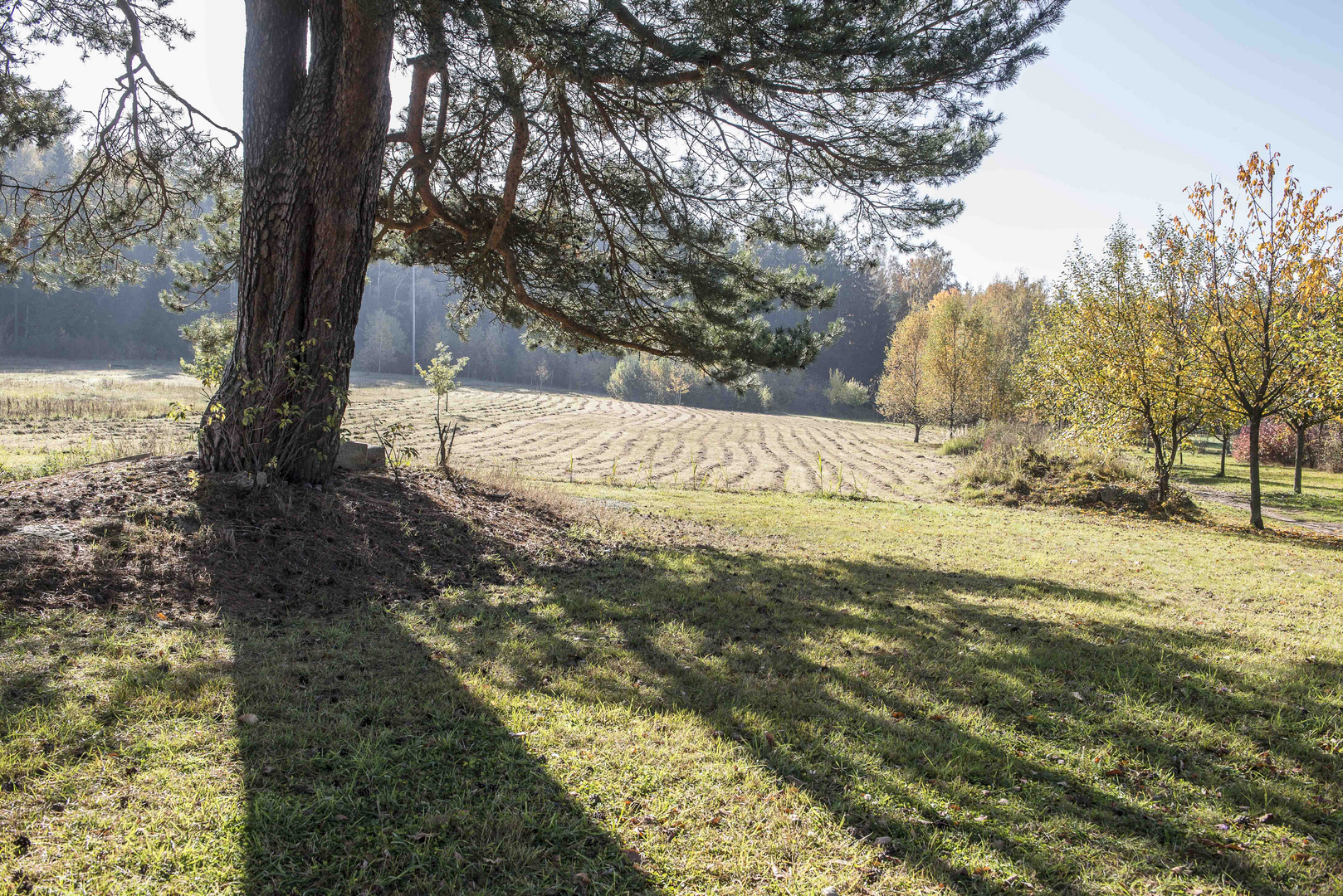 HERBSTIMPRESSIONEN